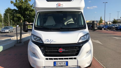 Mik – Bustner Delfin