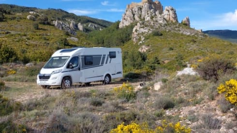 Van 337 – 3p Carado bus from 2024