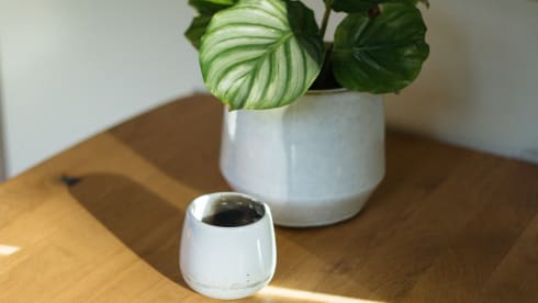 The Green House – Ein eigenständiger Luxus-Renault Master mit zwei Schlafplätzen!