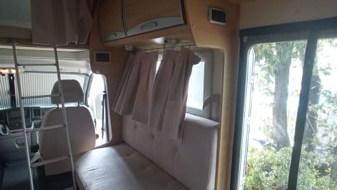 Roller team granduca