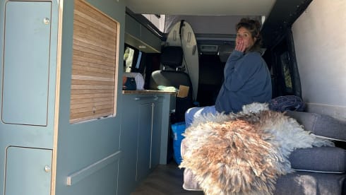 Bjørn – 4-person Volkswagen campervan from 2015