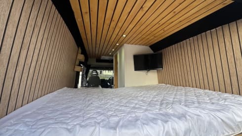 Panda – 2 berth Peugeot bus from 2015