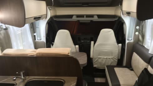 Comfortable cocoon 463
