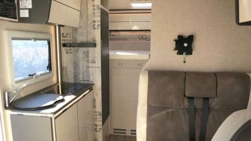 Mc4 - 331 – MCLOUIS MC4 231