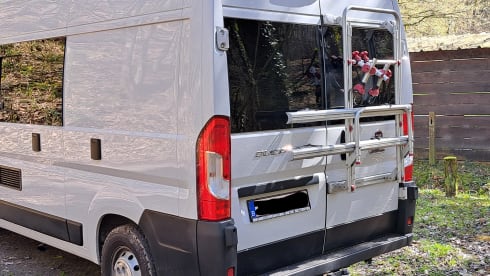 2p Fiat bus from 2020