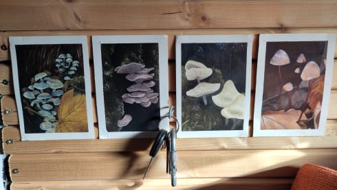 Bumi – Gezellige 2p Volkswagen Campervan (1997)