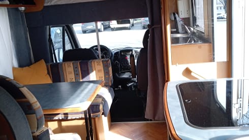 PERFETTO COMPAGNO DI VIAGGIO