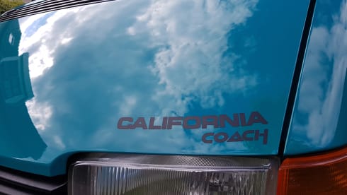 Greenhouse! – Go on an unforgettable road trip with this T4 Westfalia!