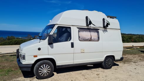 Fritsy – 2p Fiat bus uit 1991