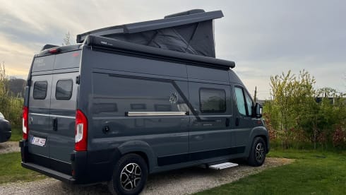 Lemice – 4p Fiat campervan uit 2026