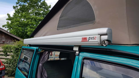 Greenhouse! – Go on an unforgettable road trip with this T4 Westfalia!