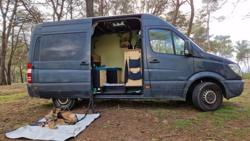 Henry – 2p Mercedes-Benz bus from 2007