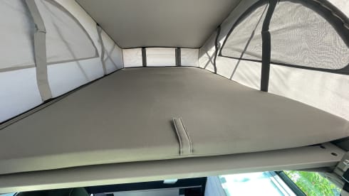 De Witte – Adventurous Volkswagen California T6 - 4 pers. 