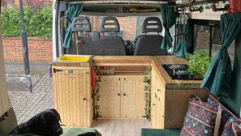 Jerboa – 2 berth Citroën campervan from 2016