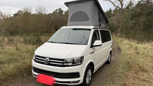 Hedwig – 2020 4-person Volkswagen campervan