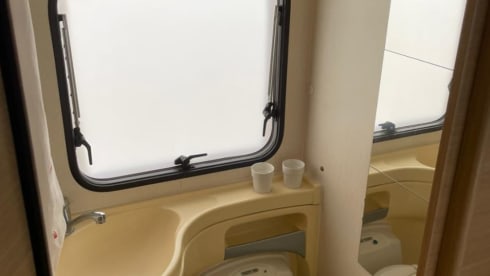 Flora madaluno – Fabiograsso2018@gmail.com