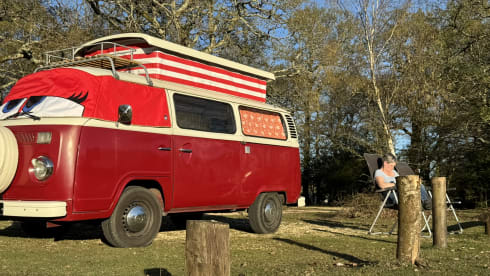 Rosie – Take me out for a retro adventure with your friends, family and pets