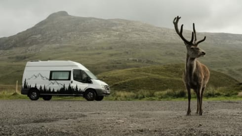 Zack  – 2-Bett-Ford-Bus von 2010