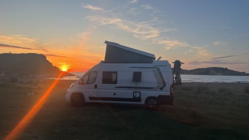 4p Weinsberg bus uit 2023