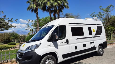 Camper4spain – 2p Benivan Fiat 2021 South Spain, Malaga. FLY AND DRIVE