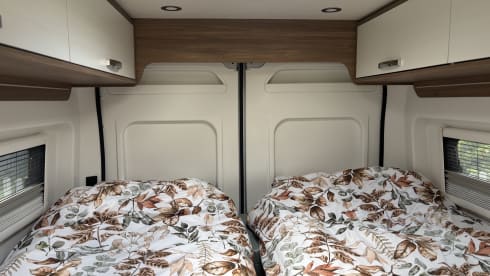 2p Pilote bus from 2020
