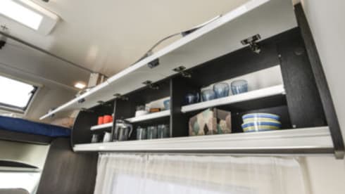 Forest – 6 berth Roller Team  675 Auto
