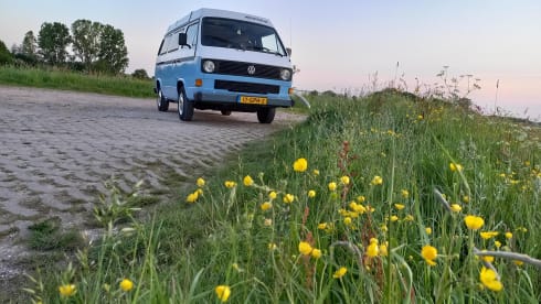 Stitch – Retro 5p Volkswagen Westfalia campervan from 1982 Stitch