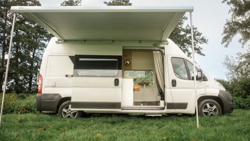 Beautiful unique Bus camper