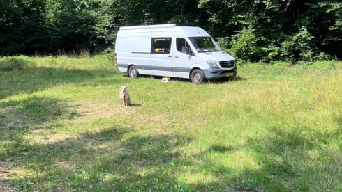 Charlie – Charlie to Friesland
