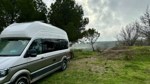Grote beer – 4p Volkswagen campervan from 2022