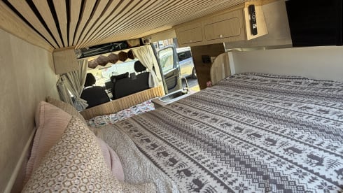 Gustavo – 3-sitziger Fiat-Bus ab 2023