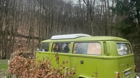 The Hulk – Westfalia – Beautiful Classic Camper For Rent! 