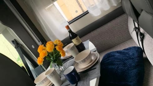 Ernie – Rollerteam 685 pet friendly motorhome