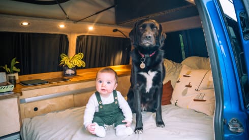 Dick Van Dyke – 4 berth bespoke VW campervan