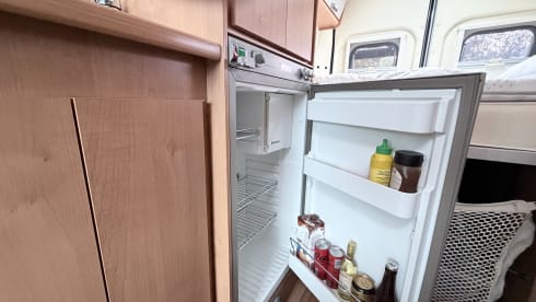 Campy – 2p Roller Team bus from 2011