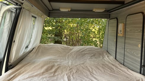 T3 Erwin  – 2 a 3p Volkswagen Campervan. 