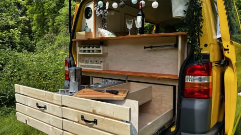 Pippin – VW T5 Postbus 