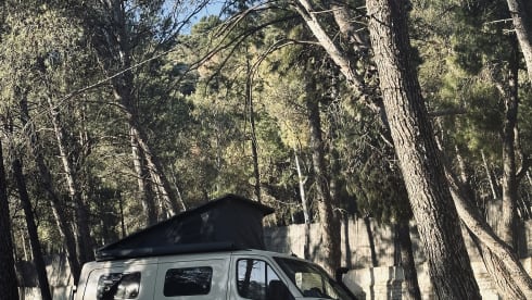 Super nice 4x4 Mercedes bus camper