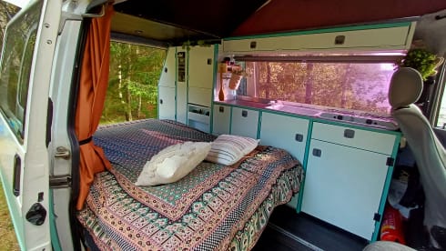 Jente – 4p Westfalia T4 campervan with lifting roof