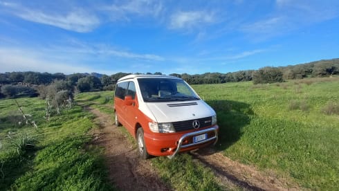 VANTASTIK RENTAL CAMPERVAN – MERCEDES MARCO POLO - VANTASTIK RENTAL CAMPER