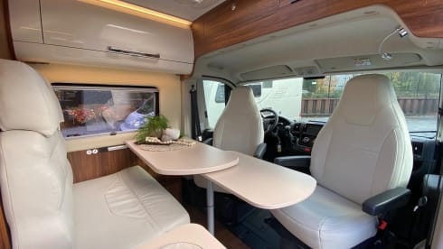 Soestdijk – 2 person bus camper from 2017, Roller Team Livingstone Prestige