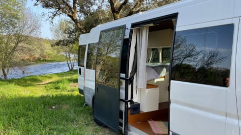 2p Fiat bus from 2012