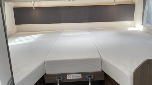 Carado T447 Edition 24