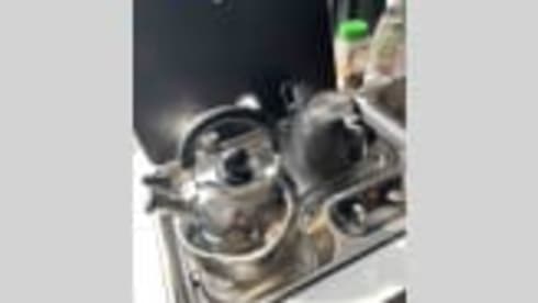 Vany  – Residential camper self-sufficient