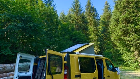 KIWI GOLD (6) – Renault Trafic Eco bus camper completely self-sufficient