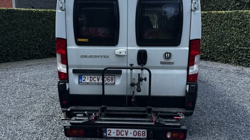 Hobby – 3p Fiat campervan uit 2021
