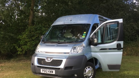 Bert the Boxer has been sold  – Bert the Boxer..... NON disponibile dal 23/8/21