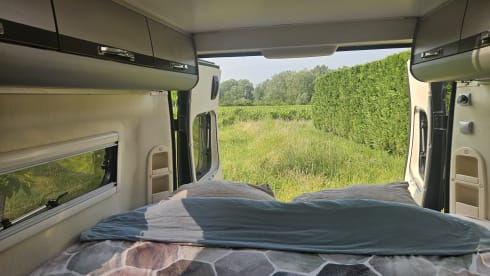2p Adria Mobil bus from 2013