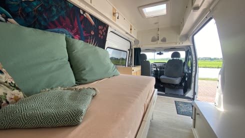 JUNGLE JACK – camper bus CITY 2007