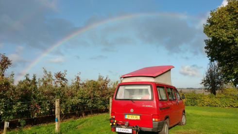 Classic T4 Westfalia for the Netherlands